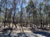 221 Rosella Avenue, The Pines, Qld 4357-Image