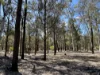 221 Rosella Avenue, The Pines, Qld 4357-Image