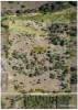 222 Edmistone Road, Pink Lily, Qld 4702-Image