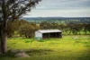 223 Nuggetty Road, Maldon, Vic 3463-Image