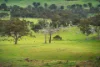 223 Nuggetty Road, Maldon, Vic 3463-Image
