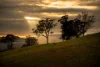 223 Nuggetty Road, Maldon, Vic 3463-Image