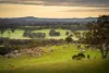 223 Nuggetty Road, Maldon, Vic 3463-Image