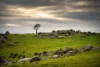 223 Nuggetty Road, Maldon, Vic 3463-Image
