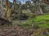 223 The Glen Road, Harrogate, SA 5244-Image