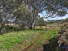 223 The Glen Road, Harrogate, SA 5244-Image