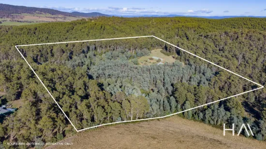 2235 Pipers River Road, Pipers River, Tas 7252