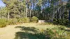 2235 Pipers River Road, Pipers River, Tas 7252-Image