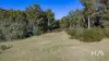 2235 Pipers River Road, Pipers River, Tas 7252-Image