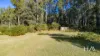 2235 Pipers River Road, Pipers River, Tas 7252-Image