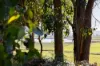 224 EAST PARKHAM RD, Weetah, Tas 7304-Image
