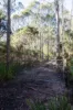 224 EAST PARKHAM RD, Weetah, Tas 7304-Image