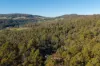 224 EAST PARKHAM RD, Weetah, Tas 7304-Image