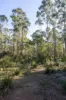 224 EAST PARKHAM RD, Weetah, Tas 7304-Image
