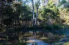 224 EAST PARKHAM RD, Weetah, Tas 7304-Image