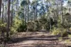 224 EAST PARKHAM RD, Weetah, Tas 7304-Image