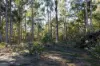 224 EAST PARKHAM RD, Weetah, Tas 7304-Image