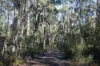 224 EAST PARKHAM RD, Weetah, Tas 7304-Image