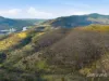 225 Haney Road, Lachlan, Tas 7140-Image