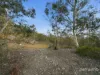 225 Haney Road, Lachlan, Tas 7140-Image