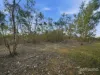 225 Haney Road, Lachlan, Tas 7140-Image