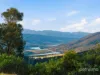 225 Haney Road, Lachlan, Tas 7140-Image