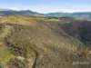 225 Haney Road, Lachlan, Tas 7140-Image