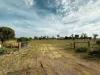 226 Martin Tce, Kadina, SA 5554-Image