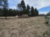 227 Cambria Drive, Dolphin Sands, Tas 7190-Image
