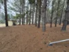 227 Cambria Drive, Dolphin Sands, Tas 7190-Image