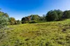 228 Bells Reef Road, Maldon, Vic 3463-Image