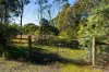 228 Bells Reef Road, Maldon, Vic 3463-Image