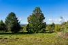 228 Bells Reef Road, Maldon, Vic 3463-Image