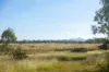 228 Dawson Road, Glenlee, Qld 4711-Image