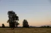 228 Dawson Road, Glenlee, Qld 4711-Image