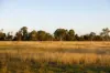 228 Dawson Road, Glenlee, Qld 4711-Image