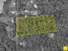 2298 Pine Creek Yarrabah Road, East Trinity, Qld 4871-Image