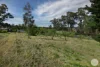 22a Harvey Street, Creswick, Vic 3363-Image