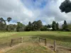22a Stewart Terrace, Naracoorte, SA 5271-Image