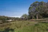 23-27 Websters Road, Templestowe, Vic 3106-Image