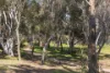 23 Alpen Street, Spence, ACT 2615-Image