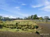 23 Anbria Drive, White Beach, Tas 7184-Image
