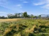 23 Anbria Drive, White Beach, Tas 7184-Image