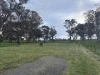 23 Bainbridge Way, Alexandra, Vic 3714-Image