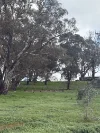 23 Bainbridge Way, Alexandra, Vic 3714-Image