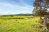 23 Dawson Street, Wiseleigh, Vic 3885-Image