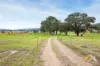 23 Dawson Street, Wiseleigh, Vic 3885-Image
