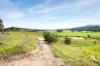 23 Dawson Street, Wiseleigh, Vic 3885-Image