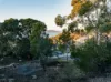 23 Gardenia Grove, Sandy Bay, Tas 7005-Image