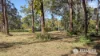 23 Pier Haven, Lamb Island, Qld 4184-Image